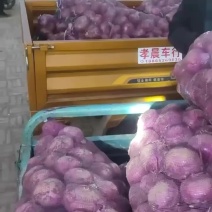 二红洋葱