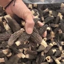 羊肚菌干货六妹5-7