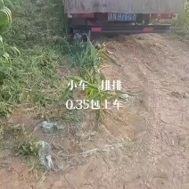3毛5包上车