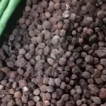 云南烤货乌梅乌梅干自产自销品质保证欢迎咨询