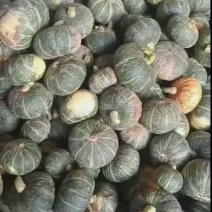 板栗南瓜，二到三斤，量大，出货快，装车快