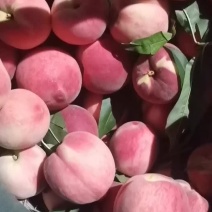 突围桃香甜可口肉脆味好