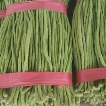 豆角大量上市保质保量可供超发往全国各地