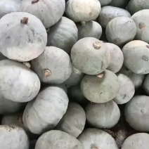 汉中银板栗南瓜大量供货中，电商，市场货源是很好的选择