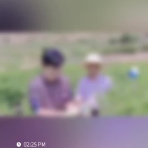金银花