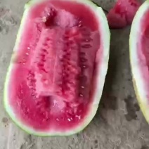绿裳西瓜