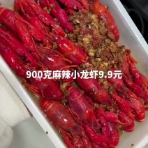 洪湖渔家德炎麻辣小龙虾蒜蓉十三香4-6钱整虾加热即熟食大