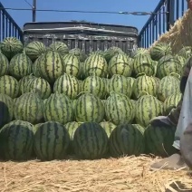 甜王西瓜，保质保量代发全国，甜度好。