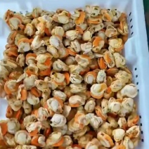 新品扇贝肉上市40/60规格60/80规格都有