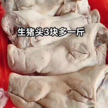 猪头厂家直销量大从优