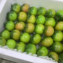 铁皮柿子草莓番茄基地直发没有套路欢迎对接
