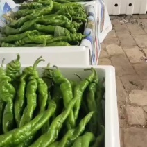 螺丝椒