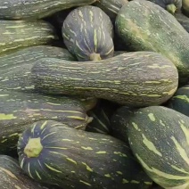 我们这里南瓜大量有货需要联系
