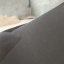本地新菜籽大量上市今年的菜籽质量好含油高需要的客户可以下