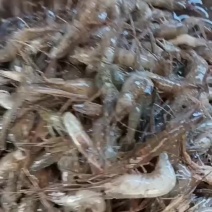 大河虾