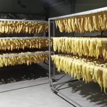 头层腐竹