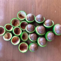 坚果