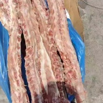 多肉猪脊骨，猪龙骨