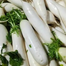 白罗卜