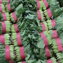 精品菠菜，二级通货大量有货，需要的老板致电，牛
