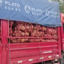 精品板栗南瓜
