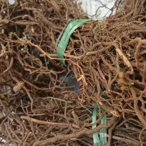 红茜草产地直发量大从优欢迎电联优质红茜草各种药材