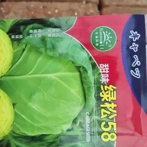 甘蓝苗量大从优成活率高