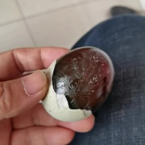 鸭蛋松花蛋精品松花鸭皮蛋，白壳鸡皮蛋，红壳鸡皮蛋