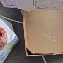 马腱子303厂马前腱马后腱可发样品精修无油