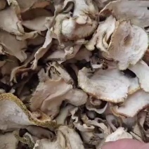 佛手在，干货正在出售，苗子也在卖