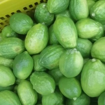 广东香水柠檬二级果
