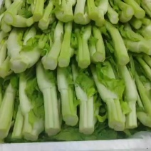 白菜苔