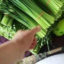 河北省昌黎县汉中韭菜苔大量上市需要的老板随时联系
