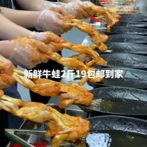 新鲜牛蛙2斤19元包邮鲜活现杀牛蛙肉商用半成品冷冻蛙腿