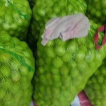青皮核桃，果大，瓤饱，口感油，内瓤白，品质高