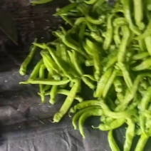 辣椒