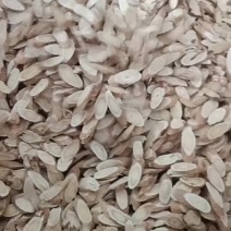 甘肃岷县黄芪片子各种规格齐全量大从优，含量片