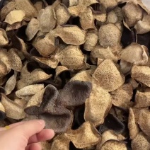 纯干仓新会陈皮，五年，十年。茶枝柑老陈皮。