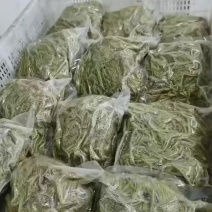 新鲜菱角藤子，炒拌好的菜肴。需要的老板联系我。