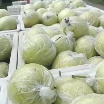 大沙河皇冠梨