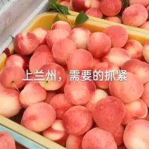 水蜜桃