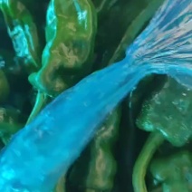 皱皮供商超农贸市场电商平台食堂