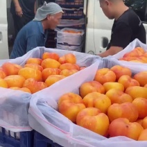 油潘九