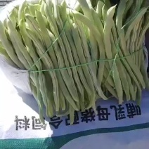 沽源