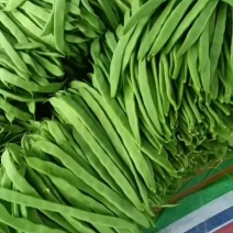 沽源