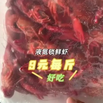 液氮清水虾9元每斤湖北小龙虾液氮速冻批发整支原味鲜活