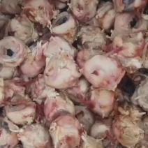 新鲜水煮全熟羊眼晴羊眼，无过水源头发货直供，批发零售皆可