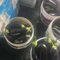 精品烧烤