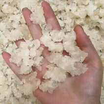 雪燕拉丝雪燕一手货源价格便宜