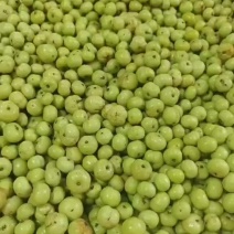 正枝饼甜上市